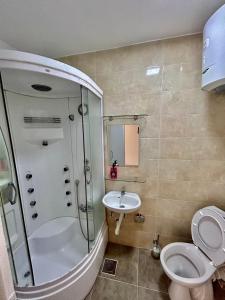 uma casa de banho com um chuveiro, um WC e um lavatório. em Aniva Apartments em Šušanj