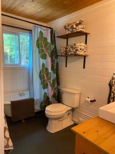 a bathroom with a toilet and a shower curtain at Willow Cabin- North Frontenac Lodge in Ompah