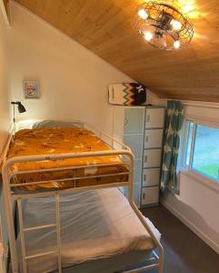 1 dormitorio con litera y ventana en Willow Cabin- North Frontenac Lodge en Ompah