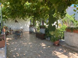 a patio with a table and chairs under a tree at La Stalla in Tuscania