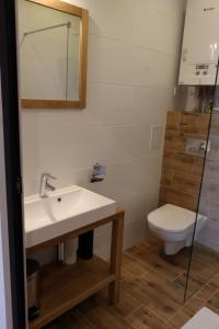 Ένα μπάνιο στο APARTAMENT PRZY RYNKU