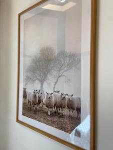 a framed picture of a herd of sheep in a field at Finca Sa Canova Agroturismo in Campos