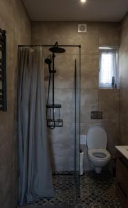 a bathroom with a shower and a toilet in it at MAZURY LAKE RESORT in Wydminy