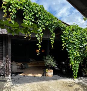 Zahrada ubytování Tini House