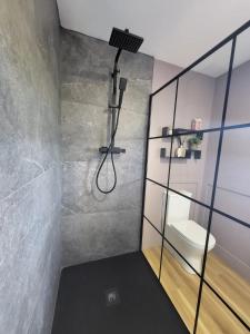 a bathroom with a shower and a toilet at Rose Meadow Lodge in Liscannor