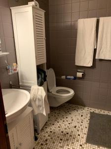 uma casa de banho com um WC branco e um lavatório. em Appartement de vacances à Torgon em Vionnaz