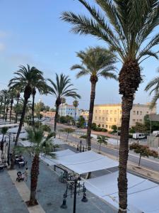 a group of palm trees on a city street at Centrally Located Spacious Private Apartment BuenaVista in Grao with Rooftop in Grao de Castellón