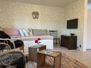 een woonkamer met een bed en een televisie bij Liten stuga i Haverdal in Haverdal