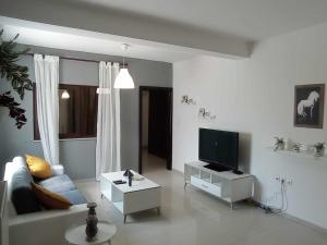 a living room with a couch and a tv at Demmy's Luxury Apartment in Orestiada