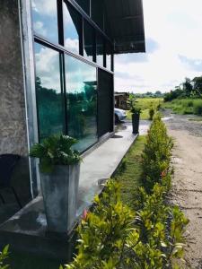 CMD 8 Hostel Success D Hostel Studio &CAFE’ في San Pa Tong: مبنى يوجد عليه بعض النباتات