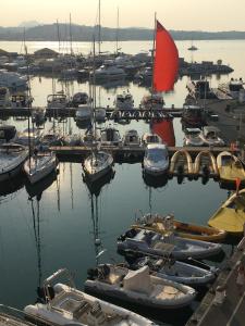 Un montón de barcos atracados en un puerto en Apartment Hirondelle Port Frejus, en Fréjus