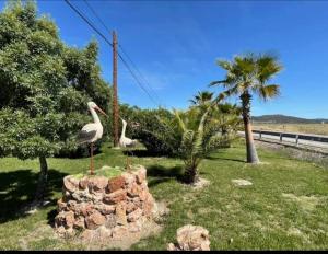 two birds are standing on a stone wall at Posada de la plata in Valdesalor