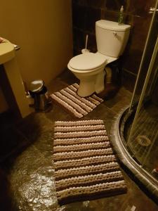 a bathroom with a toilet and two rugs on the floor at Bona Intaba Game Lodge in Hoedspruit