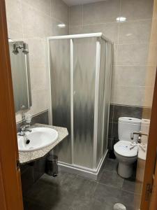 a bathroom with a shower and a sink and a toilet at HOSTAL RESTAURANTE AQUA in Ourense