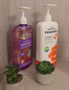 a couple of bottles of laundry detergent and a plant at Cozy & Comfort in Polykhrono