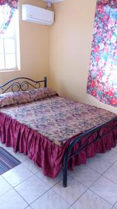Bett in einem Zimmer mit einer lila Tagesdecke in der Unterkunft CAPRICE STUDIO & GUEST HOUSE in Roger