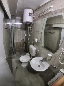 a bathroom with a toilet and a sink and a mirror at Vila Papu in Kruševo