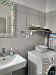 een badkamer met een wastafel en een wasmachine bij APPARTMENT( LA PAPAYA) in La Gaulette