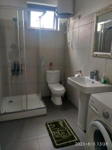 een badkamer met een toilet, een wastafel en een douche bij APPARTMENT( LA PAPAYA) in La Gaulette