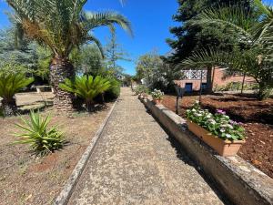 Un paseo en un jardín con plantas y palmeras. en Uacella, en Locorotondo
