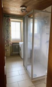 ein Bad mit einer Dusche und einem WC in der Unterkunft Appartements Konrad in Söll