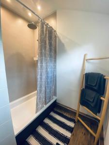a shower with a blue shower curtain and a chair at Ferienwohnung Wiesenblick in Faßberg