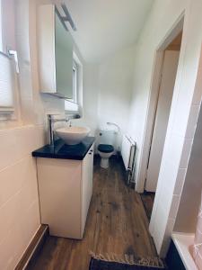 a bathroom with a sink and a toilet at Ferienwohnung Wiesenblick in Faßberg