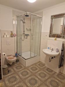 een badkamer met een douche, een toilet en een wastafel bij Mertens Zimmervermietung in Hamburg