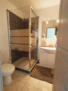 a bathroom with a shower and a toilet and a sink at Appartement centre ville à deux pas de la plage in Le Grau-du-Roi