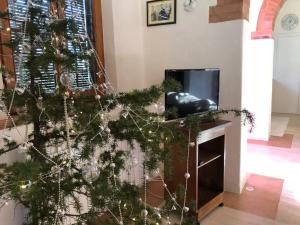 uma sala de estar com uma árvore de Natal e uma televisão em LA VIGNA Agriturismo em Siena