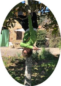 een persoon staat op een boom bij LA VIGNA Agriturismo in Siena