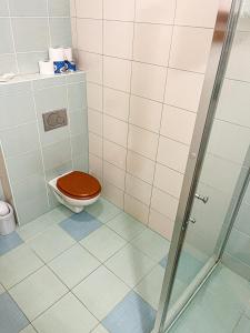 a bathroom with a toilet with a wooden toilet seat at Apartmany Jasna in Demanovska Dolina