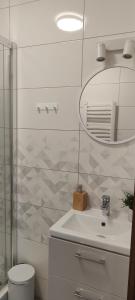 een badkamer met een toilet, een wastafel en een spiegel bij Hajlanderka in Bustryk