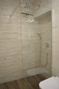 La salle de bains est pourvue d'une douche avec une porte en verre. dans l'établissement Apartment Kuman, à Omiš