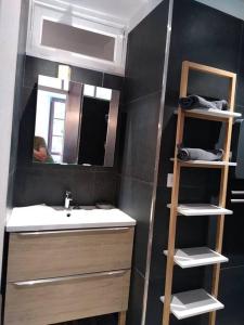 een badkamer met een wastafel en een spiegel bij Villa des Lucioles 2 in Annot