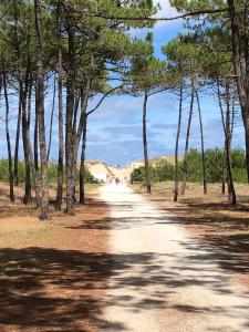 a dirt road with trees on either side at Almigeda in Les Mathes