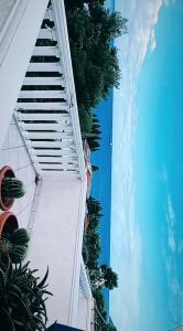 Fotografie z fotogalerie ubytování Joksimović apartmani v destinaci Šušanj