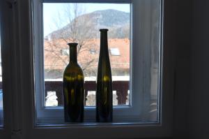 dois vasos sentados no parapeito da janela em Top-Appartement direkt an der Kampenwandbahn em Aschau im Chiemgau