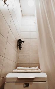 uma casa de banho com um chuveiro e toalhas num WC em Pakeliui em Kaunas