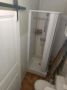 uma casa de banho com um chuveiro e um WC. em Appartement résidence Sarciron em Le Mont-Dore