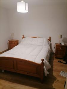 ein Bett in einem Schlafzimmer mit zwei Nachttischen und einer Lampe in der Unterkunft Relais des Gorges de la Truyère in Anglards-de-Saint-Flour