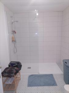 y baño con ducha y alfombra azul. en Relais des Gorges de la Truyère, en Anglards-de-Saint-Flour
