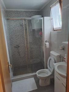 a bathroom with a shower and a toilet and a sink at Villa Panorama in Blagaj