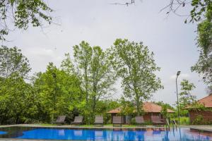 a pool at a resort with chairs and trees at Foresta Resort Sigiriya in Sigiriya