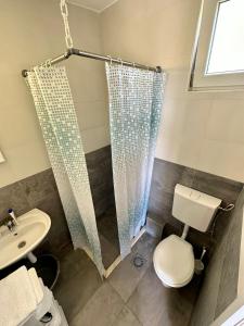 a bathroom with a shower and a toilet and a sink at Montenegrina Apartment in Budva