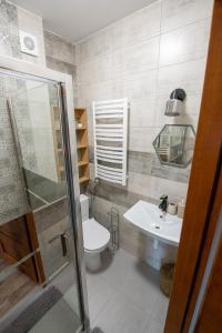 a bathroom with a toilet and a sink at Apartamenty u Symuna in Zakopane