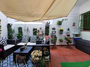 een patio met een stel potplanten aan de muur bij Casa de Ciss in Madrid