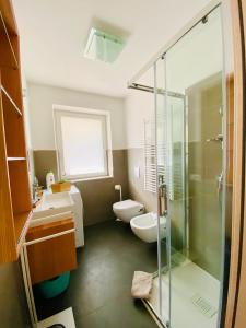 een badkamer met een douche, een toilet en een wastafel bij Casa Scardanzan in Canale dʼAgordo