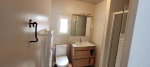 a bathroom with a toilet and a sink and a mirror at La p'tite maison in Londinières
