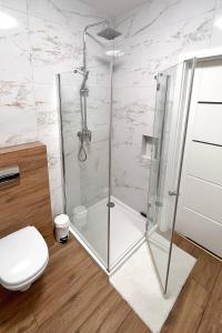 y baño con ducha y puerta de cristal. en Capital Towers - Apartament Red z widokiem na panoramę miasta i rzekę en Rzeszów